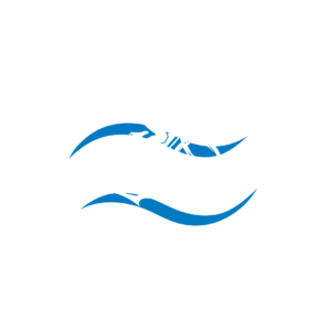 kolo_cyklista